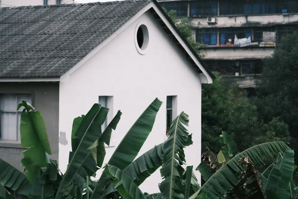 GUIYANG 5