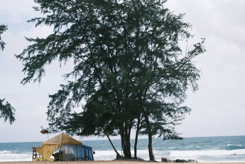 PHUKET 12
